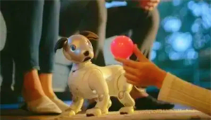 寵物芯片是什么？電子寵物能否成為精神寄托