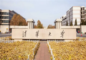 清華大學(xué)攻破芯片數(shù)據(jù)恢復(fù)技術(shù)難題，存儲(chǔ)芯片首次實(shí)現(xiàn)“診療一體化”