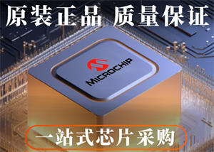 10月美國微芯MICROCHIP熱門型號TOP10