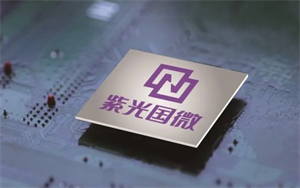 紫光國微智能安全芯片海外市場份額預(yù)計將保持較高增速