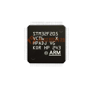 STM32F100VET6B